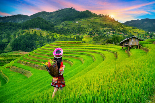 Hmong ethnic minority standing on rice terraces in Mu Cang Chai, Yen Bai, Vietnam.