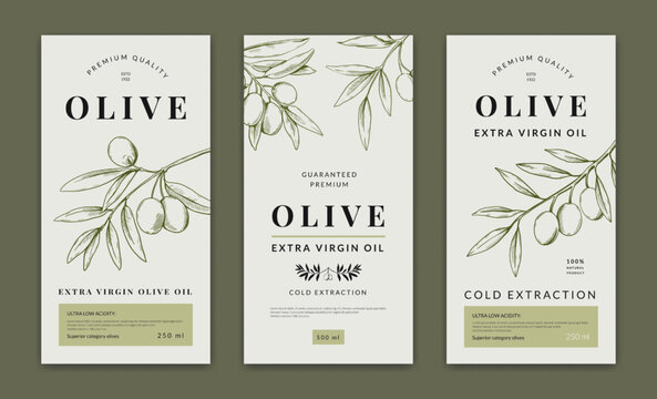 Olive oil label, greek tree logo on emblem. Italian organic sketch art, vegetable diet food, plant harvest. Botanical engraving elements. Packaging design. Package vector illustration