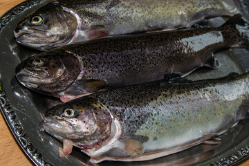 Frische Forellen für den Grill