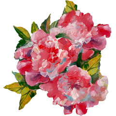 PEONY FLOWERS. Oil paint. The drawing is handmade with strokes. Red picturesque peonies. Isolated drawing with graphics.