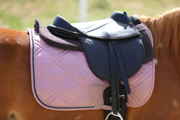 Close up of a sport horse saddle. Quality classical leather saddle