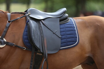 Close up of a sport horse saddle. Quality classical leather saddle