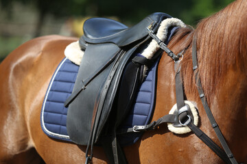 Close up of a sport horse saddle. Quality classical leather saddle