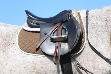 Close up of a sport horse saddle. Quality classical leather saddle
