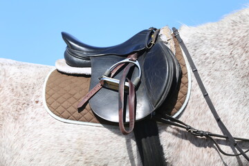 Close up of a sport horse saddle. Quality classical leather saddle
