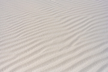 Fototapeta na wymiar Soft Ripples of White Sand Texture