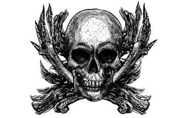 Obraz premium Isolated engraved artwork illustration of skull with bones and wings.