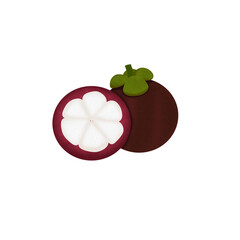 illustration of an mangosteen with a slice