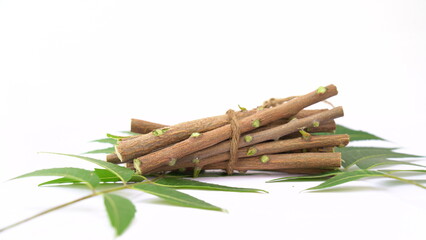 Medicinal neem twigs. Herbal neem leaves and branch over white background. Azadirachta indica - A branch of neem tree leaves. Natural Medicine.