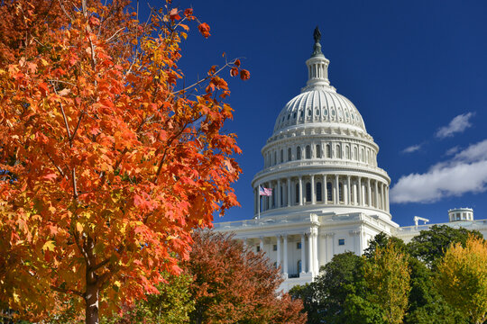 Capitol building in autumn foliage - Washington DC United States - Powered by Adobe