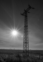 power lines in the morning