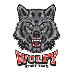 Aggressive wolf face vector illustration, suitable for t shirt design and sports team mascot logo