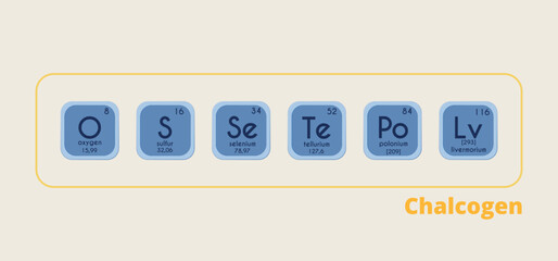 Chalcogens. The oxygen family. Periodic system of elements. Vector  illustration. Poster on the theme of chemistry. Oxygen, sulfur, selenium, tellurium, polonium. 