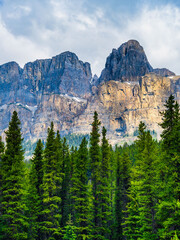Granite Rock faces and beautiful pine trees in the Canadian Rockies