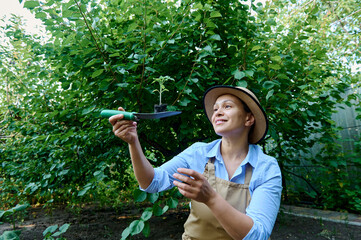 Waist-up of a multi-ethnic woman farmer, experienced agriculturist examining sprouted seedlings of tomato, cultivated in agricultural cassette before planting in the open ground of an organic farm