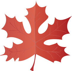 Maple Leaf in realistic style. Autumn leaf. Colorful PNG illustration isolated on transparent background.