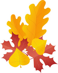 Obraz premium Leaves in red and yellow. PNG set in realistic style. Autumn leaf. Colorful illustration isolated on transparent background.