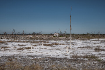 Fototapeta na wymiar Lake Epecuen, salt recovery, Province of Buenos Aires, Argentina.