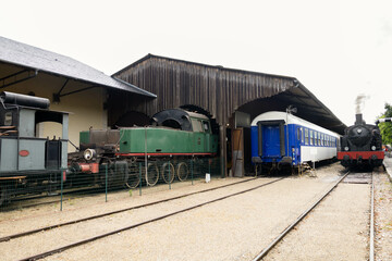 Obraz premium Blue, red, green and white trains in an old fashion station, with steam trains