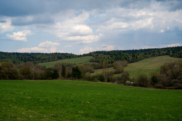 Green meadow and forest on a cloudy day.