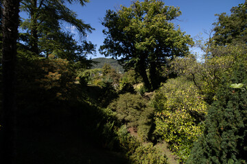 Images of the botanical garden of Villa Taranto, Lake Maggiore, Verbania, Piedmont, Italy
