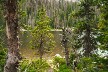 The beautiful expanse of Mirror Lake in the Uintas National Forest, surrounded by bright green trees and foliage under a cloudy, even diffuse sky