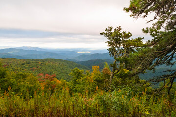Fall colors, autumn on blue ridge parkway overlooking colorful treetops and layers of mountain tops to the horizon red green orange and yellows, Horizontal photograph framed by evergreen tree 