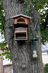 vogelhäuschen am baum