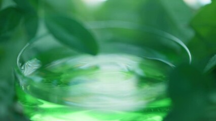 Drop is falling into petri dish with cosmetic or medical liquid in slow motion. Dermatology science laboratory. Concept of natural medicine or cosmetic research and organic skin or body care products