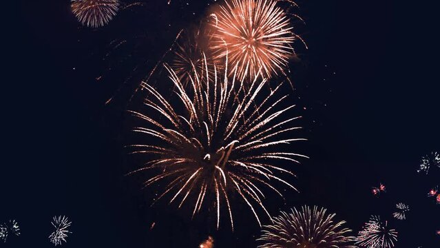 Real Fireworks Explosion on Smoke Foggy firework in night sky Loop 4K Background. Birthday, Anniversary, Celebration, Holiday, new year, Party, Invitation, Christmas, festival, Diwali, Wedding event