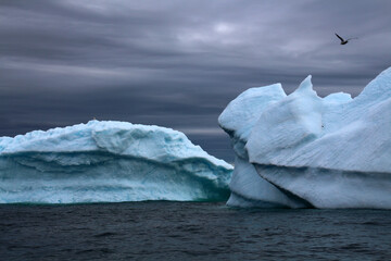 Icebergs in Ilulissat Icefjord in Disko Bay, Greenland, Denmark