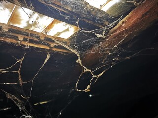 Old Cobwebs in abandoned house, The spider net under the roof with sunlighy