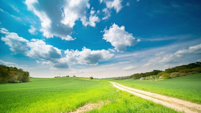 Green spring field and country road timelapse of running clouds in the sky