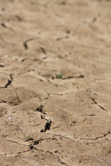 Suelo de pantano roto y agrietado por la sequía