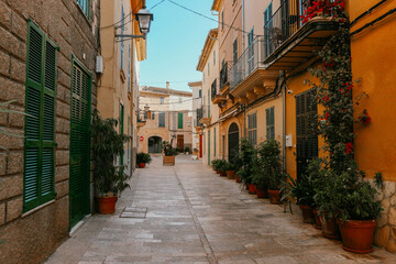 Fototapeta na wymiar Narrow old streets with mediterranean plants