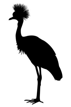 recommend clip art: crowned crane silhouette