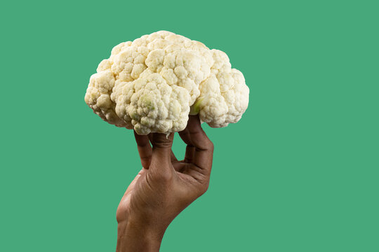 Holding cauliflower on green background. looks like a tree idea concept for creative ad. Brassica oleracea var. botrytis.