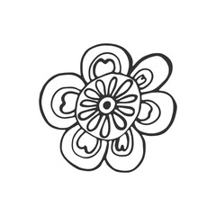 Hand drawn flower isolated on white background. Decorative doodle sketch illustration. Vector floral element.