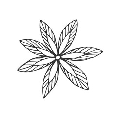 Hand drawn flower isolated on white background. Decorative doodle sketch illustration. Vector floral element.