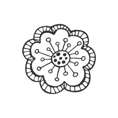 Hand drawn flower isolated on white background. Decorative doodle sketch illustration. Vector floral element.