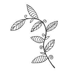Hand drawn branch with leaves isolated on white background. Decorative doodle sketch illustration. Vector floral element.