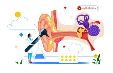 Outer inner and middle ear diagram. Ent medical center. Doctor otolaryngologist. Deafness examination and treatment. Vector illustration.