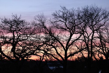 Wiefelsteder Sonnenaufgang.