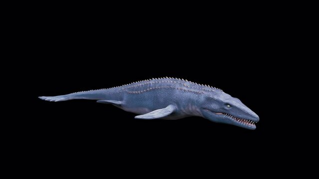 Dinosaur Mosasaurus Underwater Swim and Roar Loop Alpha