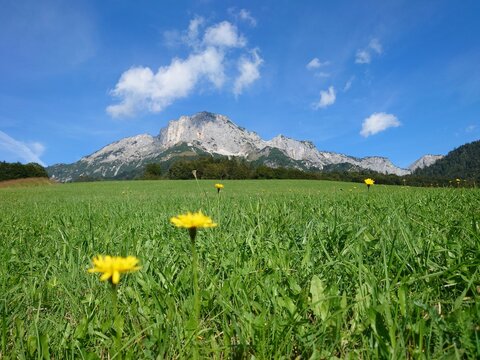 Der Blick Auf Den Untersberg