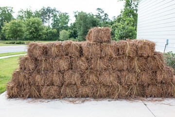 A large pile of pine straw for home garden beds in the fall or spring