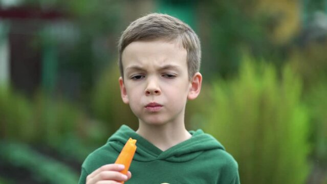 Portrait of a boy of seven years in a sweatshirt eats ripe fresh carrots in the backyard. Eco food concept