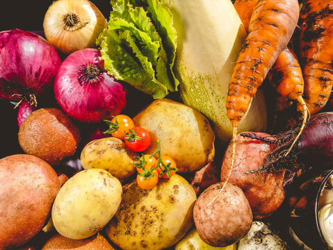 Organic vegetables from the home garden - potatoes, carrots, beets, tomatoes, lettuce, garlic, onions and zucchini in a wooden box among greenery. Raw healthy food concept. Close up