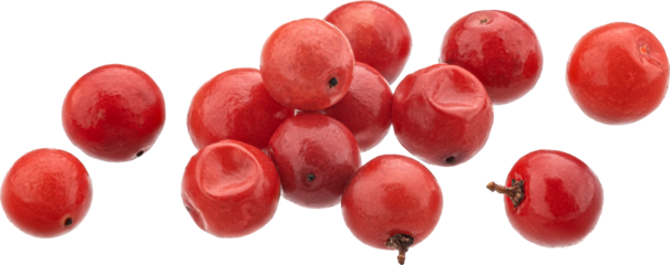Red peppercorns isolated