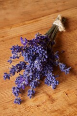 Medicinal herbs - lavender; Lavandula angustifolia		